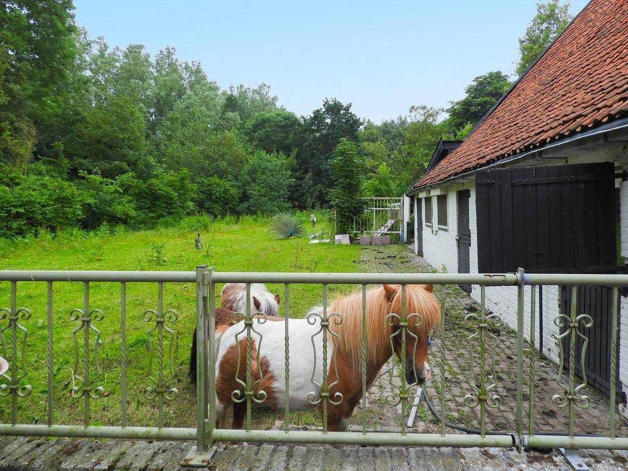 Vakantie Zeeland — Vz076  Groepsaccommodatie Noordwelle in Noordwelle, Zeeuwse Kust