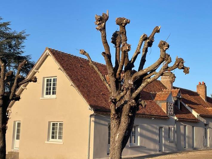 Chambre d’hôte pour 2 personnes, avec jardin ainsi que vue et terrasse, animaux acceptés à Cellettes - 2