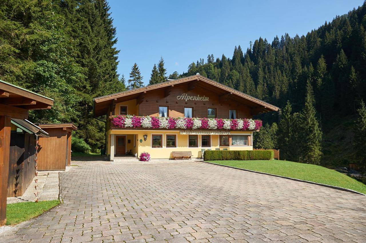 Haus Alpenheim in Flachauwinkl, Flachau