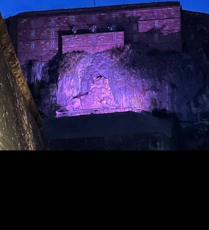 Villa pour 4 personnes, avec jardin ainsi que vue et terrasse, animaux acceptés dans Territoire de Belfort - 3