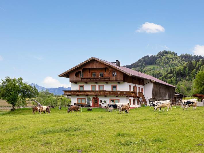 Vakantiewoning voor 10 personen, met tuin en balkon in Walchsee