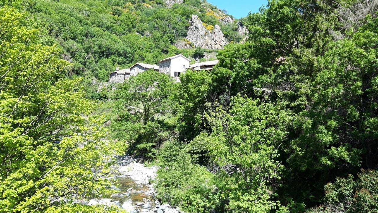 La myrtilleraie in Péreyres, Parc naturel régional des Monts d'Ardèche