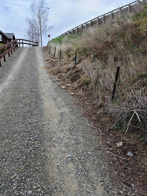 Hanmer Tree House - einzigartige Lage am Waldrand in Hanmer Springs, Hurunui District