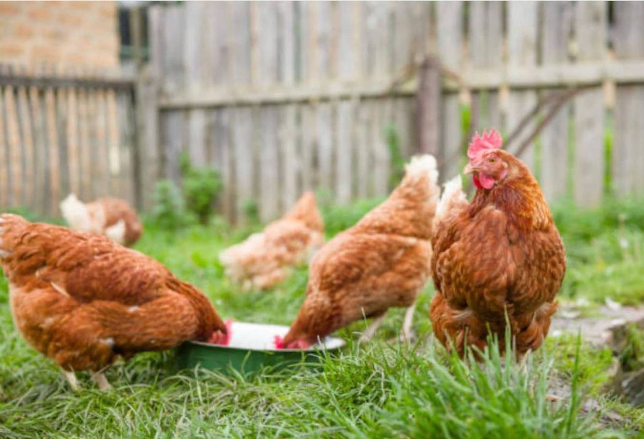 Apartamento entero, Hidden Lakefront Gem on a Gated Countryside Escape in Condado de Orange (NY)