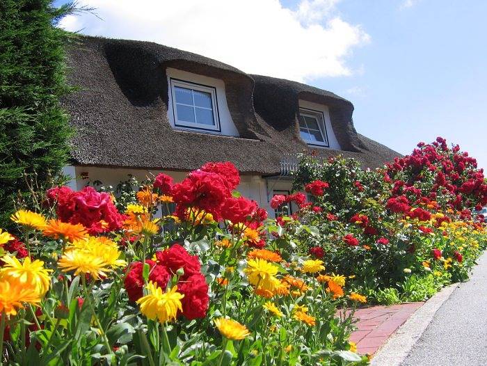 Ganze Ferienwohnung, Testhotel Amrum - Testzimmer 0000-2 in Nebel, Amrum