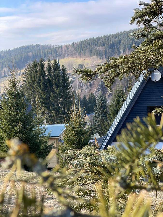 Kleines Chalet im Erzgebirge mit Sauna und Kamin in Rechenberg-Bienenmühle, Chemnitz und Umgebung