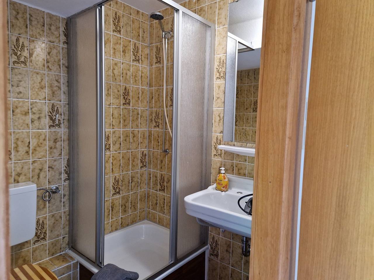 Ganze Ferienwohnung, Pension Haus Sonneck in Wildemann, Harzvorland