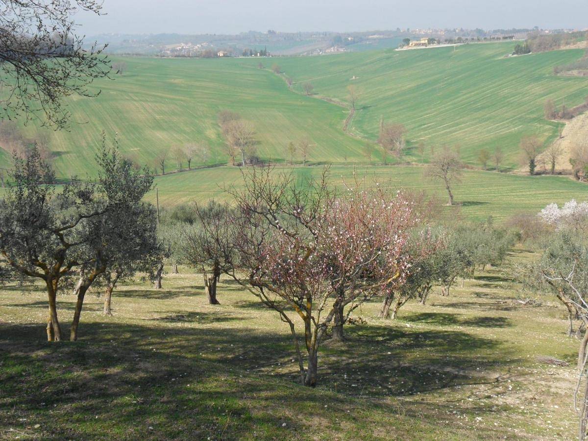 Geheel appartement, Agriturismo Il Poggiolo in Spoleto, Provincie Perugia