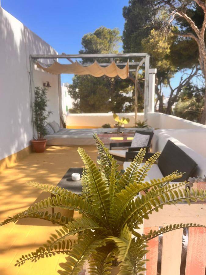 Maison d’hôte pour 3 personnes, avec jardin et piscine dans les Îles Baléares - 3