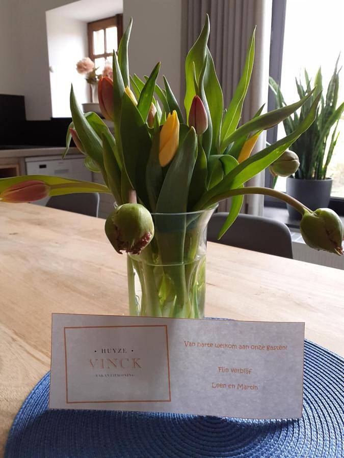 Huyze Vinck in Veurne, Westflandern