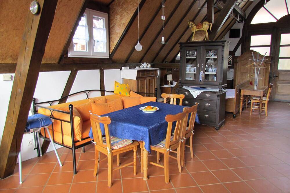 Gîte des Châteaux-forts, roof-only house with loft character in Obersteinbach, Région de Wissembourg