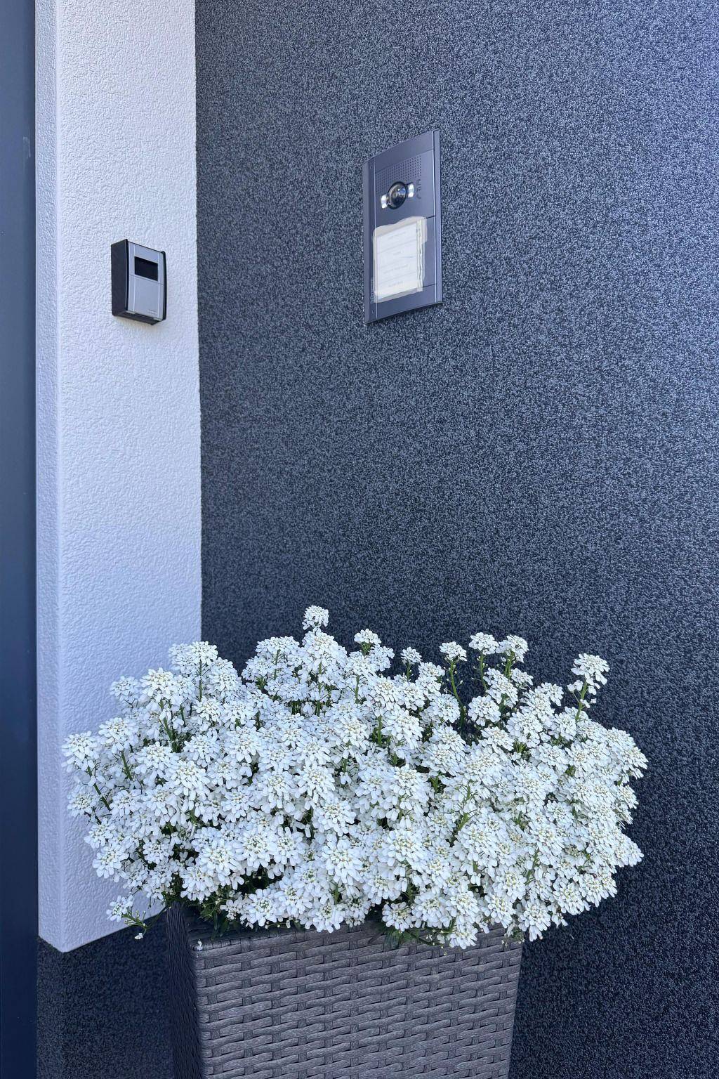 Ganze Wohnung, Dariana Schwalbach in Schwalbach (Saarland), Mosel-Saar