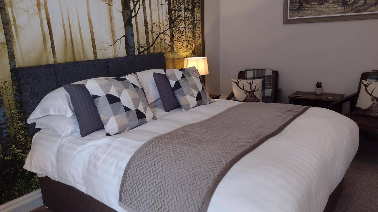 Superior Double or Twin Room with Garden View in Beddgelert, Snowdonia
