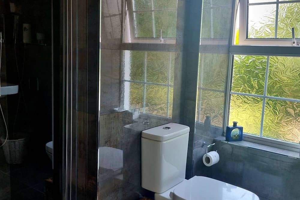 Picturesque Victorian Guest House Within The Stunning Rheidol Valley in Ceredigion