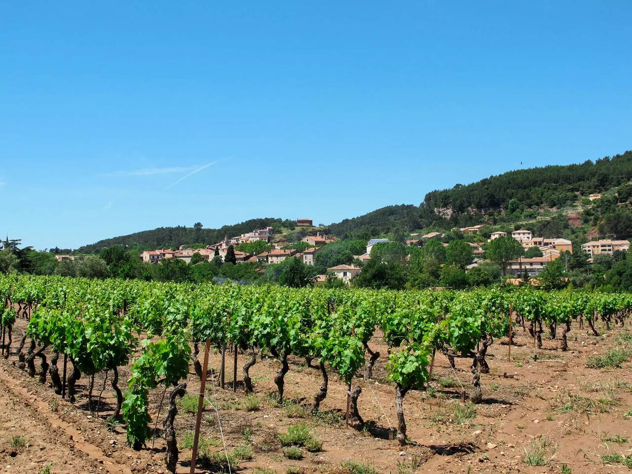 Maison 6 Personnes in Gonfaron, Brignoles region