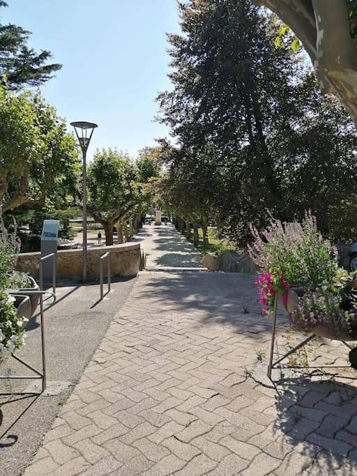 Location de vacances pour 6 personnes, avec balcon, animaux acceptés à Donzère - 4