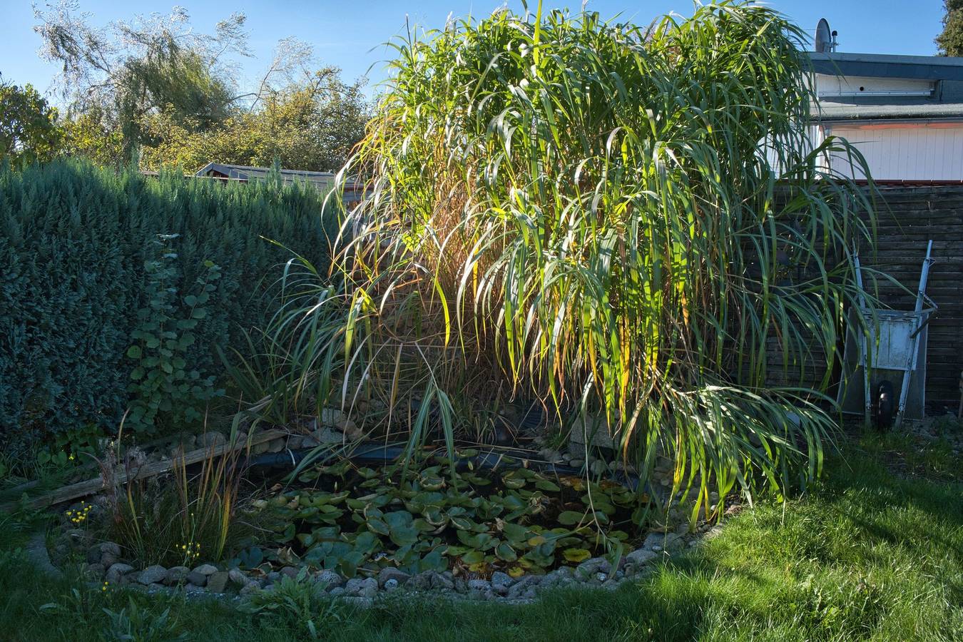 Bungalow Haffblick in Neeberg, Krummin