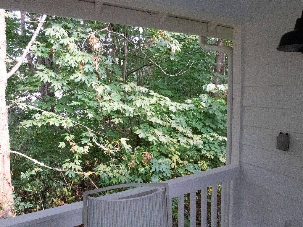 Bed And Breakfasts for 4 Guests in Warm Beach, Puget Sound