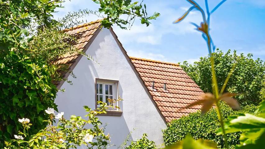 Filter.senior_travel.vacation_home für 8 Personen, mit Balkon und Terrasse sowie Garten und Sauna auf Juist - 2