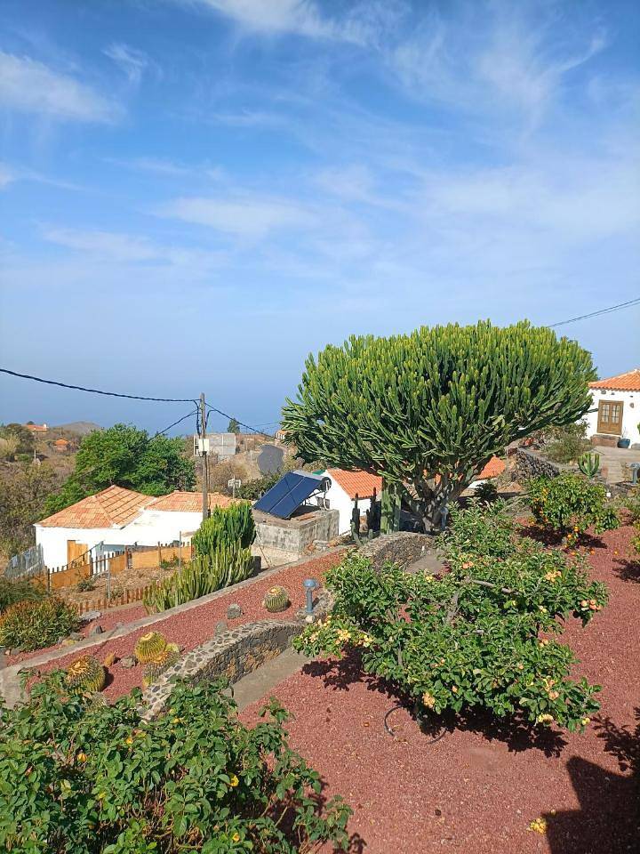 One-Bedroom House in Las Tricias, Garafía