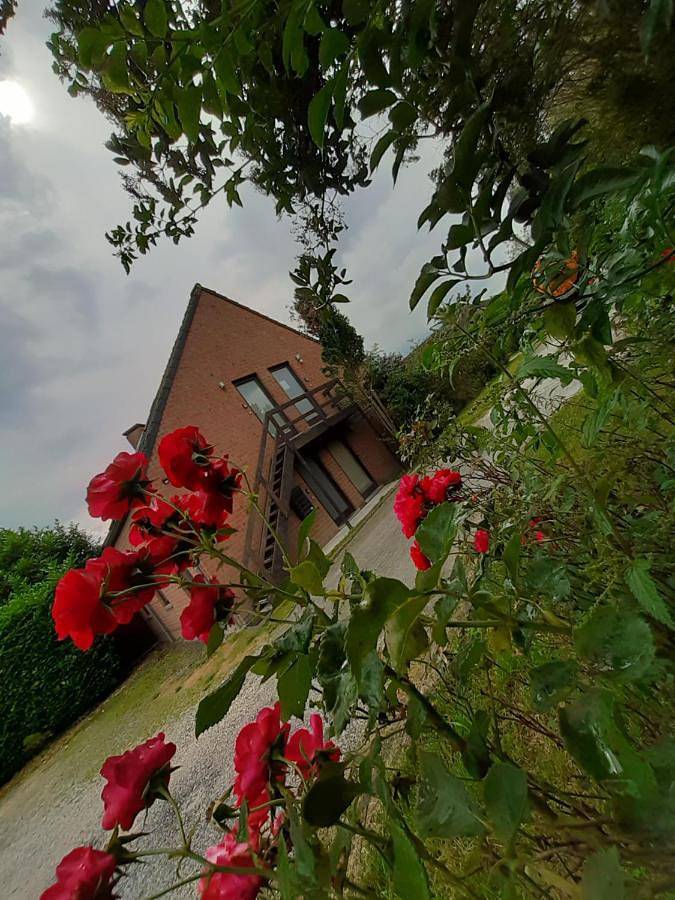 Gîte pour 4 personnes, avec vue et jardin, animaux acceptés à Wavre - 4