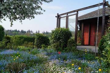 Hütte für 2 Personen in Reidenhausen, Moseleifel, Bild 3