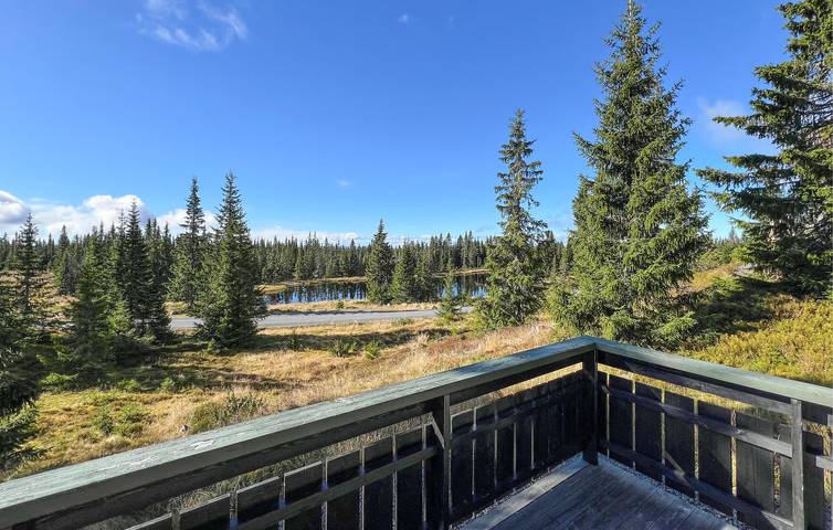 Location de vacances pour 6 personnes, avec jardin ainsi que terrasse et sauna dans Sjusjoen - 4