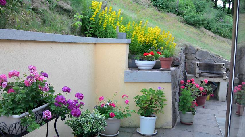 Location de vacances pour 3 personnes, avec jardin à Gérardmer - 2