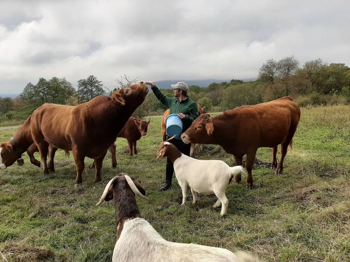 Ferienhaus für 4 Personen, mit Balkon/Terrasse an der Rhön - 2