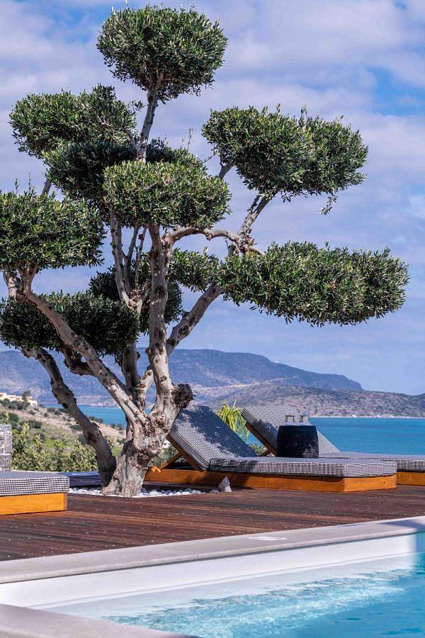 Villa for 6 people, with garden and view as well as pool in Elounda
