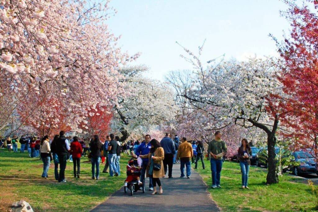 Ganze Wohnung, Free Parking 30% Off! Prime Area Near Nyc & Ewr, 98 Walk score in Newark, Essex County (NJ)