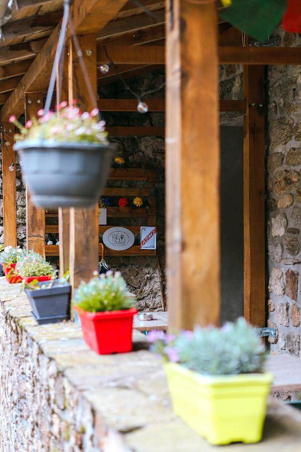 Au Chat Bleu in Saint-Laurent-les-Bains-Laval-d'Aurelle, Parc naturel régional des Monts d'Ardèche