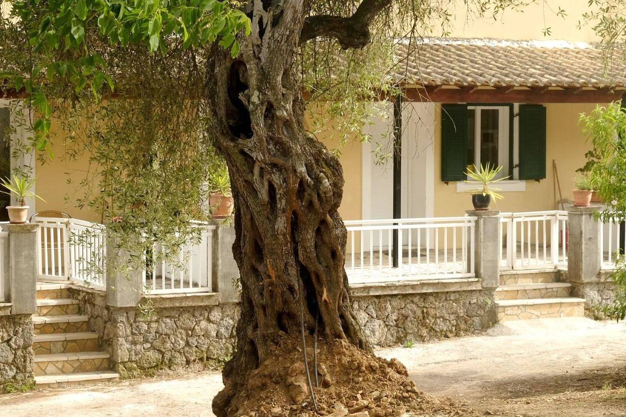 Ολόκληρο το διαμέρισμα, Apartment in Άγιο Ιωάννη (Κέρκυρα), Κέρκυρα