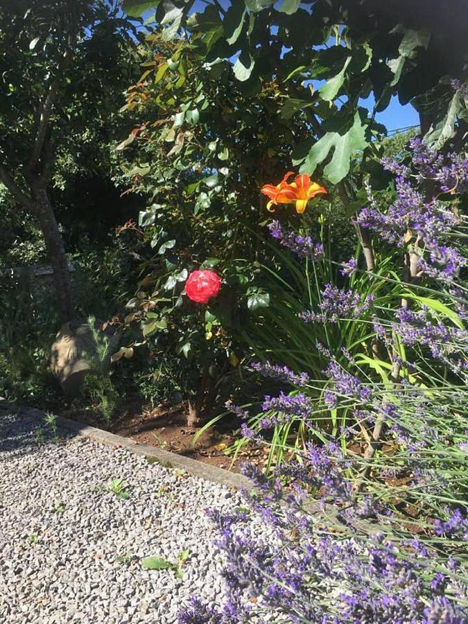 Chambre d’hôte pour 5 personnes, avec terrasse et vue, animaux acceptés à Sežana - 2