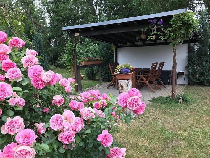 Ferienhaus für 2 Personen, mit Garten in Falkenstein/Harz - 4