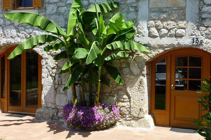 Ferienhaus für 6 Personen, mit Garten, mit Haustier - 1