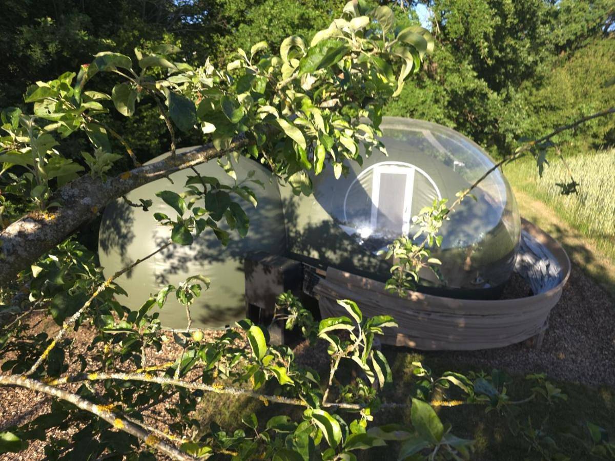 Bubble Tent Altmühltal in Greding, Frankenalb