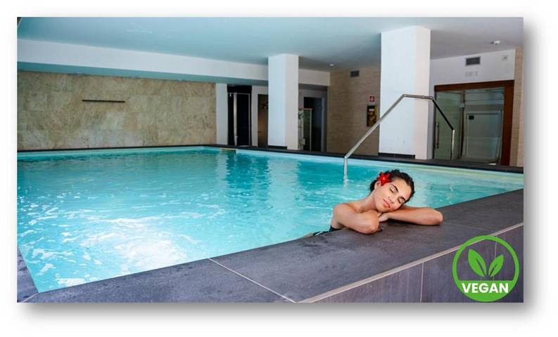 Hôtel pour 4 personnes, avec piscine et sauna ainsi que jacuzzi et jardin