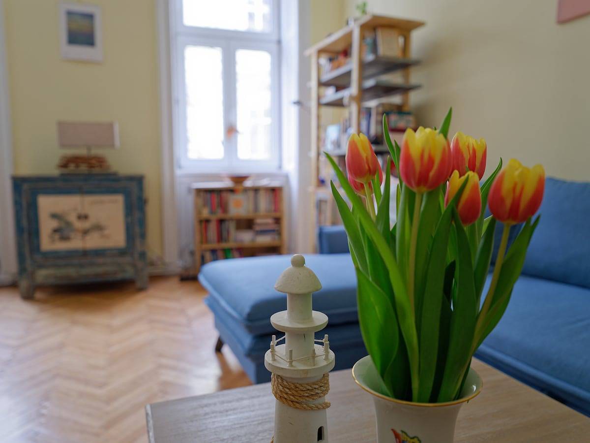 Ganze Wohnung, Ferienwohnung für 5 Personen mit Garten in Wien Innenstadt, Wien
