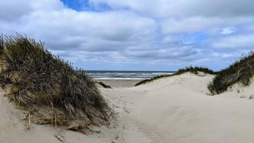 Ferienhaus für 11 Personen, mit Pool und Terrasse sowie Sauna, mit Haustier in Henne Strand - 4
