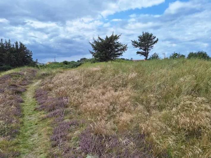 Ferienhaus für 8 Personen, mit Garten und Terrasse, mit Haustier in Skagen - 4