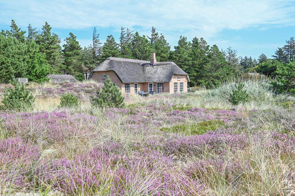 Quality house on the Danish North Sea - with great details and high-quality furniture in Ulfborg, Holstebro Region