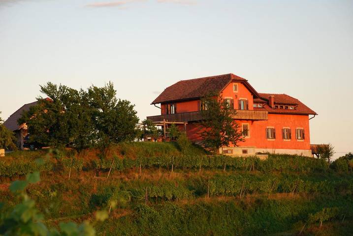 Ferienhaus für 18 Personen, mit Kinderpool und Ausblick sowie Garten, mit Haustier in Slowenien - 3