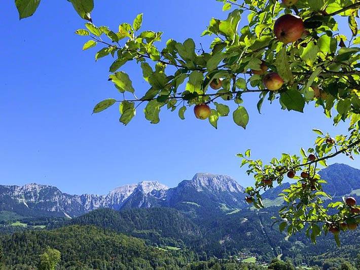 Bauernhaus für 4 Personen, mit Garten, kinderfreundlich in Schönau am Königssee - 3