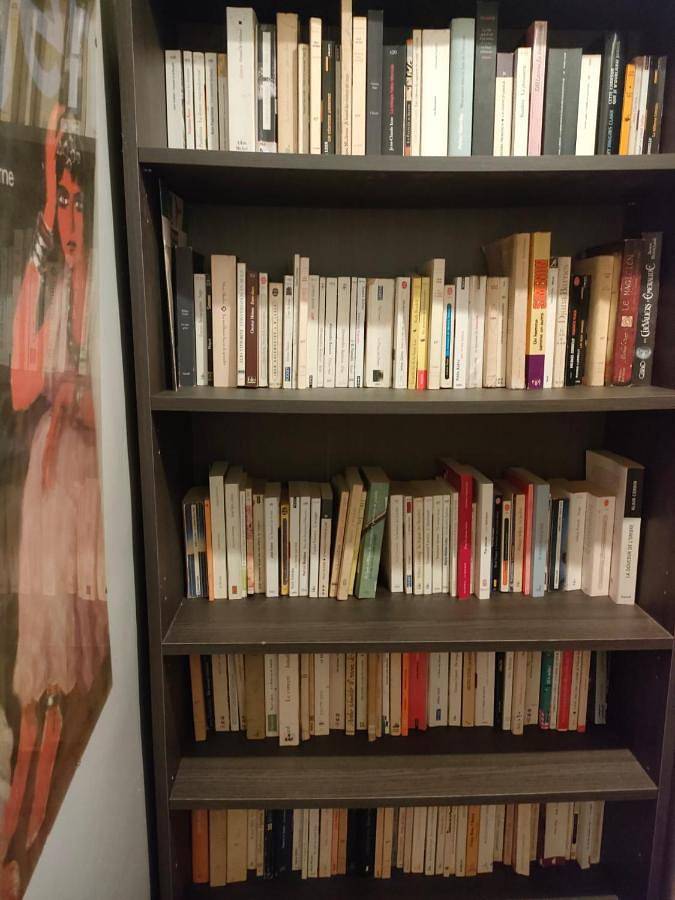 Gîte pour 4 personnes, avec terrasse ainsi que vue et jardin, animaux acceptés à Balaguères - 4