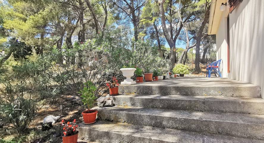 2-Zimmer-Haus mit Terrasse und Meerblick Sumartin, Brac in Sumartin, Brac