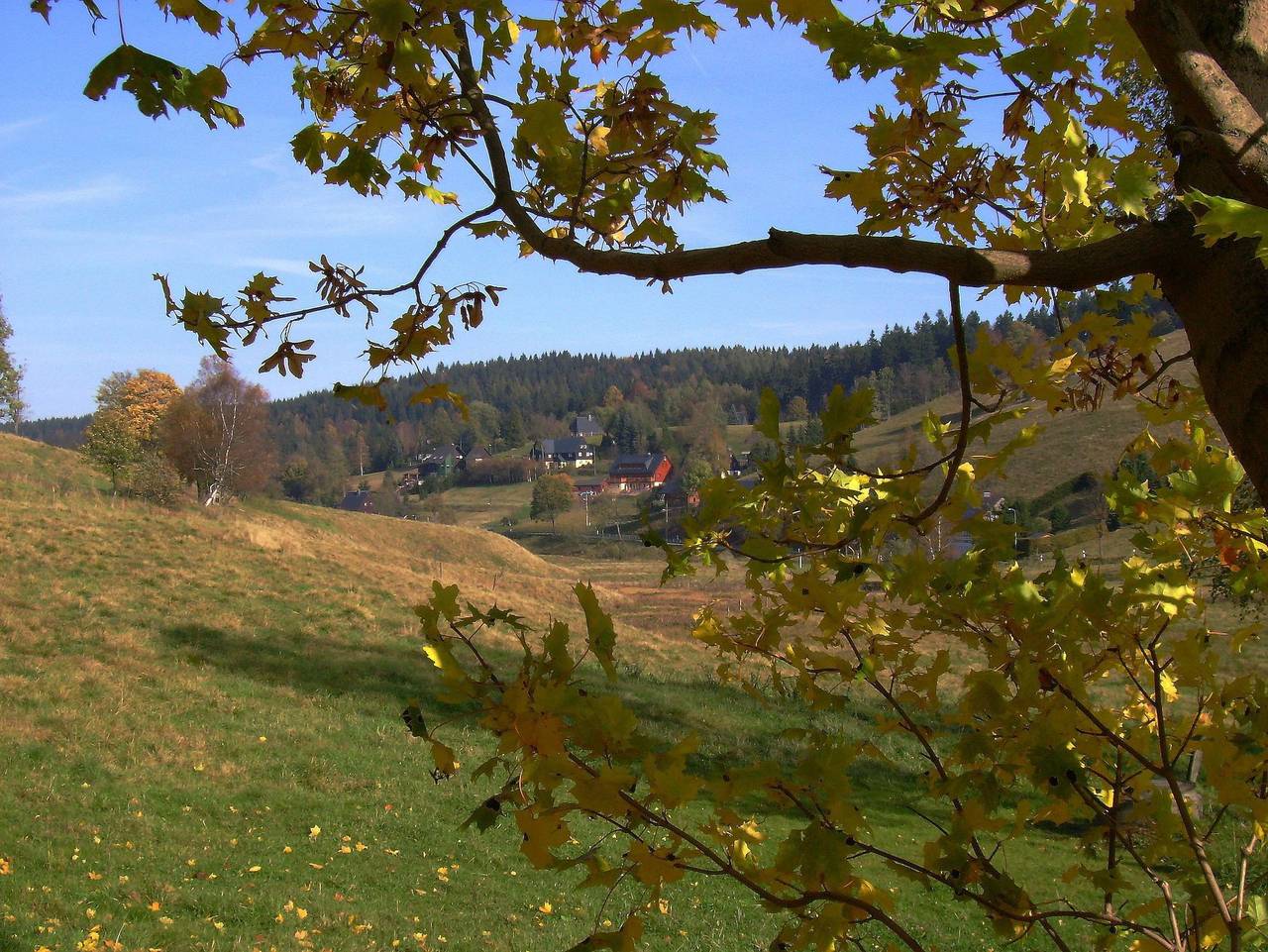 Ganze Ferienwohnung, Ferienwohnungen Ihle - Kleine Ferienwohnung im Wohnhaus in Altenberg, Mittlere Erzgebirge