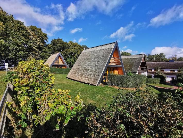 Ferienhaus für 4 Personen, mit Ausblick und Garten, mit Haustier in Middelhagen - 4