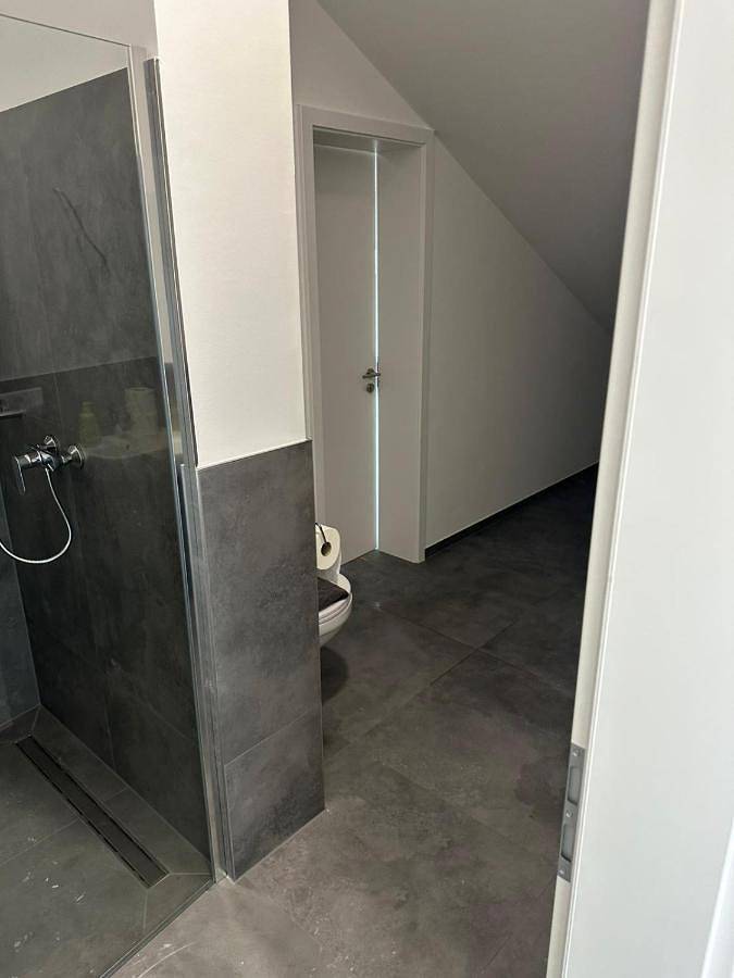 Ferienwohnung für 7 Personen, mit Terrasse in Alzey - 3