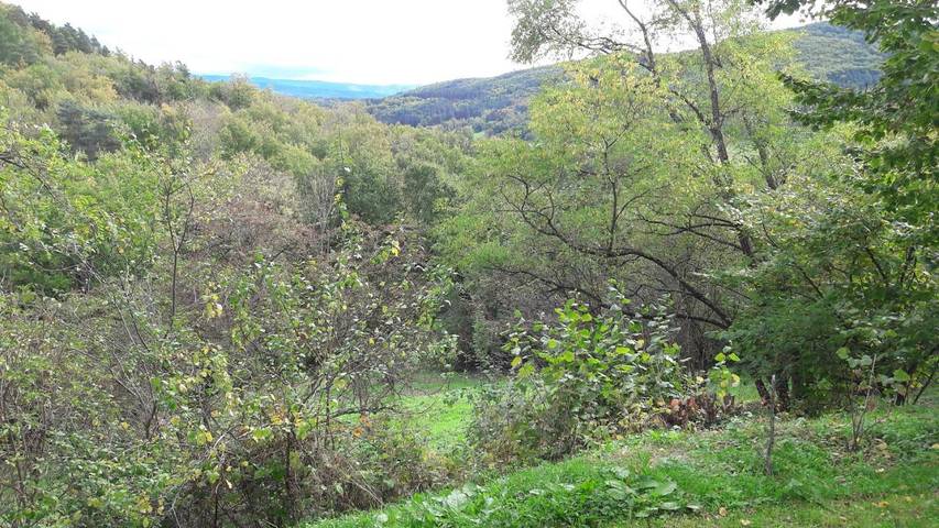 Location de vacances pour 6 personnes, avec vue et jardin à Lavaudieu - 3